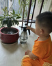 G. DUCKKIDS小黃鴨嬰兒衣服爬行服夏季拖地裝寶寶爬爬服兒童連體衣擦地板防臟 桔色短袖9分褲薄 夏（送護(hù)肘） 90cm 90碼（身高75-83厘米，19- 曬單實(shí)拍圖
