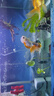 寵小帥貝殼陶瓷躲避屋魚缸底砂造景布景裝飾水族箱魚蝦繁殖窩陶罐躲避洞 貝殼【湖水藍(lán)】 曬單實(shí)拍圖
