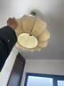 頓家法式中古風(fēng)餐廳吊燈LED護(hù)眼玄關(guān)燈創(chuàng)意竹子新中式吧臺(tái)餐廳吊燈 栗子/直徑40CM-三色變光 曬單實(shí)拍圖