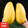 【新鮮當季新鮮】金煌芒大青芒芒果 帶箱3斤【單果200g+】 曬單實拍圖