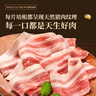 高金食品優(yōu)級(jí)整切培根 凈重1斤 豬肉制品  早餐手抓餅食材 半成品 預(yù)制菜  曬單實(shí)拍圖