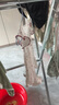 優(yōu)奇女嬰夏裝莫代爾嬰兒短袖連體衣服夏季薄款女寶寶夏天甜美可愛哈衣 曬單實拍圖