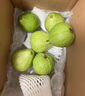 京鮮生 紅心珍珠芭樂 番石榴 凈重3斤 單果150g+ 生鮮水果水果禮盒 曬單實拍圖