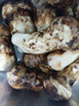 滇味十足 云南新鮮松茸 香格里拉未開傘出口品質(zhì)養(yǎng)生菌菇滋補營養(yǎng)美味 【出口級】凈重500克 4-6cm 曬單實拍圖