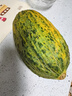 趣嘗鮮 藤上熟黑金蜜瓜 2枚 6-7斤 蜜瓜 新鮮水果 源頭直發(fā) 包郵 曬單實拍圖