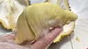 榴萊到三袋裝泰國金枕榴蓮肉自然樹(shù)熟冷烤雙吃有核去 泰國金枕純肉A級凈 曬單實(shí)拍圖