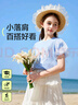 ASK JUNIOR女童短袖T恤2025夏裝兒童泡泡袖立體蝴蝶結(jié)休閑打底衫 藍色 160 曬單實拍圖