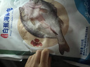 仙泉湖三去白蕉海鱸魚1斤/條凈膛冷凍刺少肉厚珠海特產(chǎn)500g生鮮食材 曬單實(shí)拍圖