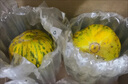 京府香園東北香瓜八里香花蕾甜瓜花姑娘新鮮脆甜應(yīng)季多汁蜜瓜現(xiàn)摘水果整箱 精選5斤裝 曬單實(shí)拍圖