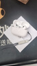 汐巖 2024【華強(qiáng)北五代降噪版】Air真無(wú)線藍(lán)牙耳機(jī)運(yùn)動(dòng)音樂(lè)適用于蘋(píng)果iphone1514華為oppovivo榮耀通用 【五代降噪版】入耳檢測(cè)+秒連接 【佩戴舒適/久戴不痛/超長(zhǎng)續(xù)航】 曬單實(shí)拍圖