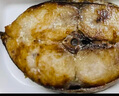 賣魚七郎特大馬鮫魚切片鲅魚段500g（含保護冰50g）共2-3片深海魚中段魚類 曬單實拍圖