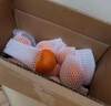 京鮮生 南非進(jìn)口小蜜橘/蜜桔3斤裝 單果40g起 柑橘桔子 新鮮水果 曬單實拍圖