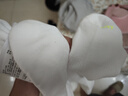 耐克NIKE男子襪子 速干透氣運(yùn)動(dòng)襪 短襪三雙裝SX6890-938白色L 曬單實(shí)拍圖