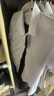 匆蒙白色襯衫女夏季短袖襯衫暗扣防透襯衫商務百搭通勤免燙透氣職業(yè)裝 曬單實拍圖