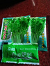 四季小香芹種子秋季盆栽香味濃郁實(shí)心芹菜籽四季可栽種蔬菜種子 精選良品芹菜種子【新種】 2包約1999粒 曬單實(shí)拍圖