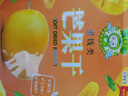 海南旅游特產(chǎn)滿(mǎn)口椰芒果菠蘿蜜鮑魚(yú)豬肉椰子糖小黃魚(yú)百香果饞果灣 滿(mǎn)口椰芒果干128克1袋 曬單實(shí)拍圖