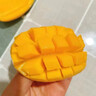 海南小臺(tái)農(nóng)芒果新鮮2025現(xiàn)摘小臺(tái)芒應(yīng)當(dāng)季熱帶水果特產(chǎn)芒果 9斤大果【單果80-120g】 曬單實(shí)拍圖