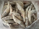 北海灣 蝦 青島大蝦鮮活冷凍基圍蝦 蝦類 海鮮水產(chǎn)生鮮白蝦青蝦海蝦對蝦 鹽凍大蝦 3.6斤(凈重)  15-17cm【單只凍 無冰衣】 曬單實拍圖
