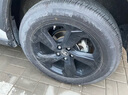 鄧祿普（DUNLOP）輪胎/汽車輪胎 225/60R18 100H PT30 原廠配套一汽豐田RAV4 曬單實拍圖