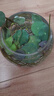 碗蓮種七彩五顏六色水培花卉水養(yǎng)四季蓮花荷花種蓮藕綠植水培蓮子 開口/混色 20粒+生根粉 曬單實(shí)拍圖