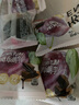 來(lái)伊份黑糖布朗李大顆酸糯清梅果肉厚實(shí)蜜餞酸甜李果梅子李子零食來(lái)一份 黑糖布朗李250g（約9-10包） 曬單實(shí)拍圖
