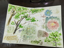 輝柏嘉（Faber-castell）固體水彩24色 固體顏料 便攜式水彩套裝 美術(shù)課必備升級(jí)版 576024美術(shù)寫生 曬單實(shí)拍圖