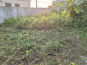 科邁克德國電動(dòng)割草機(jī)充電家用手持打草機(jī)鋰電草坪機(jī)割灌機(jī)農(nóng)用除草機(jī) 9寸無刷高功率工業(yè)款 曬單實(shí)拍圖