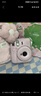 INSTAX富士instax立拍立得 一次成像相機(jī) mini12精美禮盒 櫻花寶貝 含10張fafa花邊相紙 曬單實(shí)拍圖