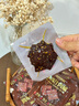 三只松鼠鹵汁肉脯500g鹵香味箱裝休閑零食高蛋白豬肉脯即食解饞年貨送禮 曬單實拍圖