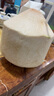 佳沃泰國進口椰青香水椰子 6個裝 中果800g+ 新鮮水果 源頭直發(fā) 曬單實拍圖