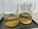 匠界養(yǎng)生茶苦蕎茶黑苦蕎150g四川黑珍珠麥香型飯店專用花草茶 曬單實(shí)拍圖