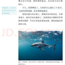 海底兩萬(wàn)里七年級下冊語(yǔ)文課本推薦必讀名著(zhù)人教課本配套書(shū)目初中生閱讀推薦全文附賞析贈音頻 曬單實(shí)拍圖