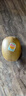 佳沛（zespri）新西蘭 陽光金奇異果12粒禮盒特大果單果約122-146g 獼猴桃 水果 曬單實(shí)拍圖