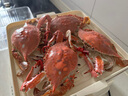 秋田滿滿高鈣淡干蝦皮65g兒童無添加食鹽年貨海產(chǎn)干貨蝦米享嬰兒寶寶食譜 曬單實(shí)拍圖