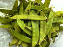 荷蘭豆新鮮蔬菜青豌豆甜脆豌豆苗四季豆扁豆當(dāng)季時(shí)令新鮮蔬菜 新鮮荷蘭豆1斤【農(nóng)家自種】 曬單實(shí)拍圖