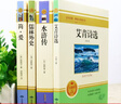 九年級(jí)必讀正版名著全套4冊(cè) 艾青詩選水滸傳和簡(jiǎn)愛儒林外史 原著正版完整版 初中生三年級(jí)9年級(jí)上冊(cè)下冊(cè)課外閱讀教育書籍全套中學(xué)生文學(xué)世界名著書目語文9上下唐詩三百首配套人教版(京東圖書聯(lián)合定制款) 【4 曬單實(shí)拍圖