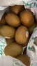佳沛（zespri）新西蘭  陽光金奇異果巨大果22粒原箱 單果重約144-175g 獼猴桃 曬單實拍圖