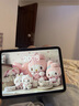 Apple/蘋果【國家補貼】iPad 11英寸 A16芯片2025年款 平板電腦 (256GB WLAN版/學習辦公娛樂)銀色 曬單實拍圖