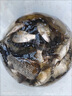 天網(wǎng)爆窩米麥秋釣鯽魚(yú)瓶裝酒米打窩野釣餌料聚魚(yú)留魚(yú)強野釣大板鯽正品 天網(wǎng)秋釣鯽酒米麥子260g*3瓶 正品保證 曬單實(shí)拍圖