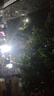 洗車(chē)工具全套裝擦車(chē)毛巾洗車(chē)撣子清潔套裝家用組合汽車(chē)清洗用品套 黑灰色噴壺+洗車(chē)液+海綿+毛巾 曬單實(shí)拍圖