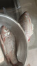 云映漁舟 微山湖生態(tài)大鯽魚(凈膛) 生態(tài)活魚現(xiàn)殺淡水魚生鮮孕產(chǎn)婦下奶燉湯 大號鯽魚（每斤2-3條） 2斤（殺好損耗15％） 曬單實拍圖