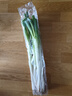 上海青500g(油菜) 曬單實拍圖