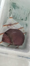 天福號醬香豬肝肉200g醬鹵熟食臘味早餐食材方便即食下酒涼菜中華老字號 曬單實拍圖