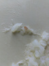 我愛漁大西洋深海真鱈魚寶寶裝升級200g 去皮去刺6-7塊嬰幼兒童輔助食譜 曬單實(shí)拍圖