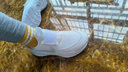 NIKE 耐克童鞋男女童運(yùn)動(dòng)鞋F(xiàn)LEX RUNNER 3一腳蹬易穿脫兒童公路跑步鞋 曬單實(shí)拍圖