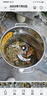 豫滎致富不銹鋼碎菜機(jī)養(yǎng)殖喂雞鴨鵝碎草機(jī)家用切草機(jī)粉碎機(jī)豬草碎草機(jī)桶式 304不銹鋼碎菜機(jī) 2400W送4片刀片 曬單實(shí)拍圖