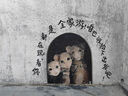 SOFS移動(dòng)升降桌小型站立式工作臺(tái)組合高腳辦公學(xué)習(xí)寫字書桌床邊電腦桌 【基礎(chǔ)款】氣動(dòng)升降站立桌 白色 曬單實(shí)拍圖