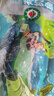 太湖?！緹o抗或有機認證 淡水鱸魚】孕婦嬰兒童食輔 鮮活三去魚類水產(chǎn) 【有機】鱸魚 300g*3條 曬單實拍圖
