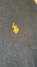 U.S. POLO ASSN.保羅短袖T恤男夏季百搭純棉薄款簡(jiǎn)約圓領(lǐng)短袖上衣 黑色 XL （建議125斤-145斤） 曬單實(shí)拍圖
