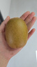 佳沛（zespri）新西蘭  陽(yáng)光金奇異果巨大果22粒原箱 單果重約144-175g 獼猴桃 曬單實(shí)拍圖
